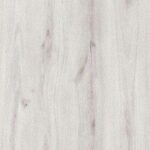 باركيه تركي بيج فاتح