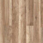 باركيه تركي بني