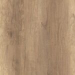 باركيه تركي بني فاتح