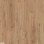 باركيه تركي بني