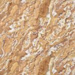 بديل رخام لامع بني عروق ابيض