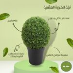 كورة نباتية مع حوض مقاس 50 * 50 سم