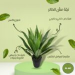 نبتة صناعية عش الطائر 150 سم