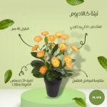 نبته صناعية كالنديولا طول 40 سم