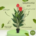 نبته صناعية كنا مزهلاة زهلاء حمراء طول 120 سم
