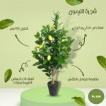 شجره صناعية ليمون طول 100 سم