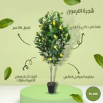 شجره صناعية ليمون طول 130 سم