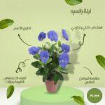 شجره صناعي نبتة بانسيه طول 38 سم