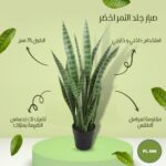 شجره صبار صناعي جلد النمر طول 75 سم لون اخضر