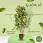 شجره صناعية شفليرا طول 130 سم