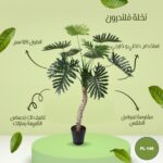 نخله فلندرون