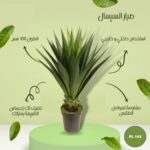شجره صناعي صبار السيسال