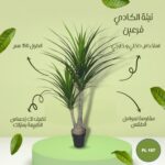 شجره صناعي نبته الكادي فرعين
