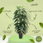 شجره صناعي فلندرون 150 سم