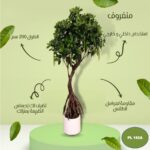 شجره صناعي منغروف