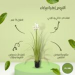 شجره صناعي الليوم زهرة بيضاء