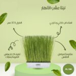 نبتة عشب الانهار 27.5 سم