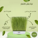 نبتة عشب الانهار 47.5 سم