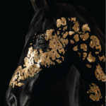 بديل رخام طباعه خيل اسود مزخرف ذهبي