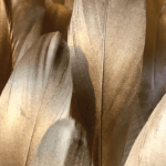 بديل رخام طباعه ريش بني غامق