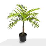 شجرة اريكأ صناعية