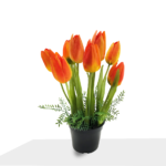 شجرة زهرة التوليب الصناعية