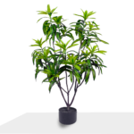 شجرة دراسينا الصناعية 80 سم