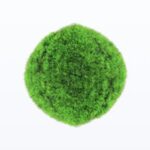 كورة عشب صناعي مقاس 40 سم اخضر