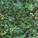 images-2.jpg images-2.jpg